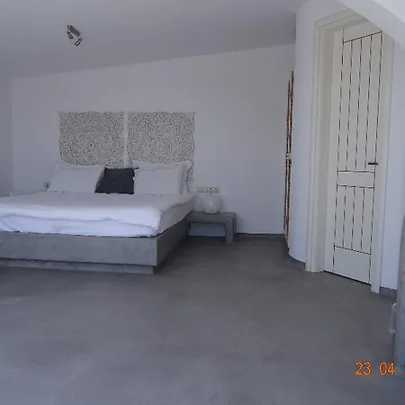 ザ セイント ブラシス