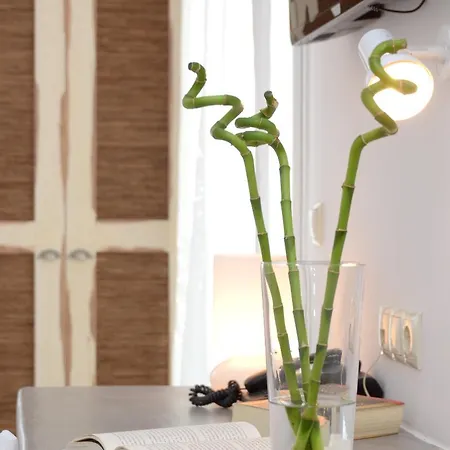 The Saint Vlassis Hotell Naxos City